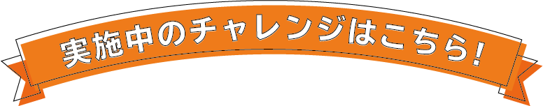 企画内容