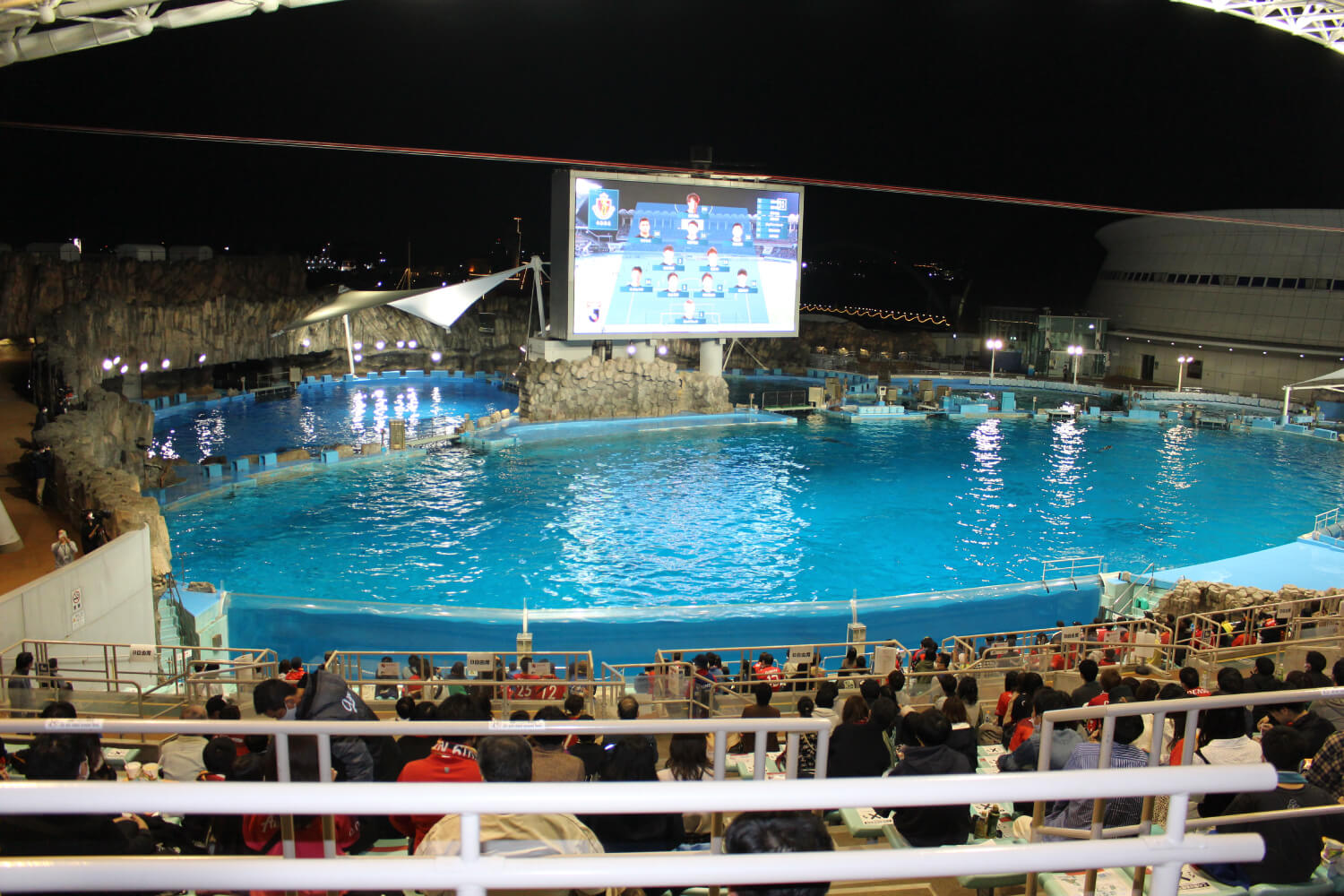 写真:名古屋港水族館のショーステージに大型ビジョンを設置しパブリックビューイングを開催