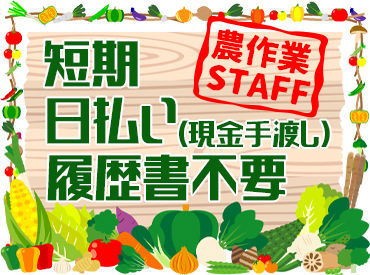 野菜の育て方のコツやおいしい調理法など
農家さんの知識も教えてもらえます！！
男女スタッフ、幅広い年齢層が活躍中◎