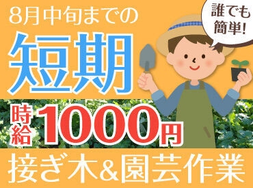 ベルグアース株式会社　いわて花巻農場 ＜約1～2ヶ月の短期バイトで稼ごう＞
日曜日は定休＆日中だけのお仕事です！短期で稼ぎたい学生さん・主婦（夫）さんにピッタリ
