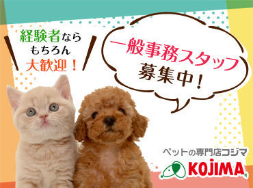 株式会社コジマ　越谷物流センター　（ペットの専門店コジマ） ◆スタッフはみんな動物が大好き！動物やワンちゃんネコちゃんに興味のある方！未経験の方大歓迎です♪