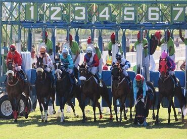 縁エキスパート株式会社 大好きな競馬をスタッフとして支えませんか？
いつも行く競馬場が新鮮に感じるかも♪