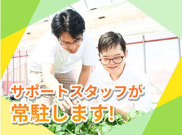 わーくはぴねす農園　松戸ファーム【求人番号11387】 重い機材などは使わず、安全に栽培できる装置を採用しています◎