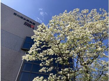 都会の喧騒に少し疲れてしまった…
そんな方にもオススメ！
気分をリフレッシュして働けます◎