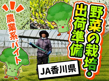 JA香川県 仲多度育苗センター ＜10月末頃までの短期も相談可＞
週休2日で好きな曜日もご相談OK♪休憩も多め◎夕方にはお仕事終了！一緒に楽しく働きましょう◎