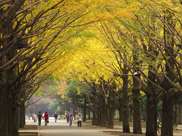 （公財）東京都公園協会　※勤務地：城北中央公園サービスセンター（窓口） 都立公園だから安心して働ける！
自然に囲まれながら働いてみませんか？