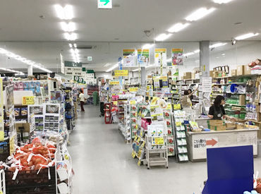 花や野菜、果樹の苗、観葉植物など
様々な商品に触れられるのも、飽きずに楽しく働けるポイントです◎
