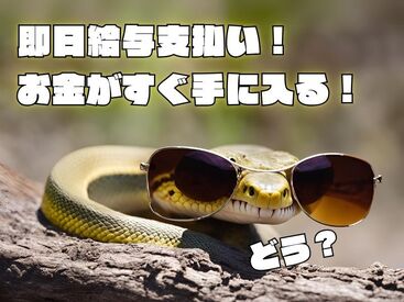 テイケイワークス東京　柏支店/TWT144 「現金手渡し」の会社って、珍しいんですよ！大量募集中の今がチャンスです！