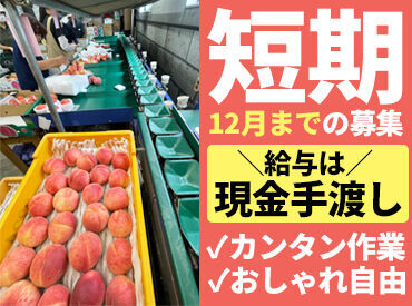 株式会社木村商店 履歴書は写真なしでもOK♪髪型などのおしゃれも自由で大丈夫です◎
美味しい果物に囲まれながらのびのび楽しく働きませんか？