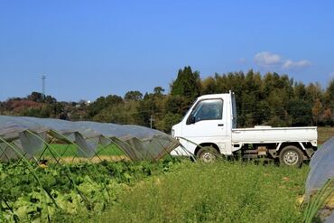 株式会社ワークプラス 中央区 ＼シンプルワーク／
未経験者でもすぐできる簡単なコトばかり！
シニアまで皆さん歓迎します！
※写真はイメージです。
