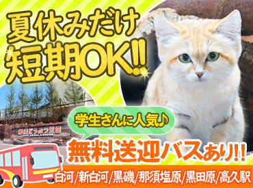のびのびと生活する動物がいっぱい★
お客様に楽しんでもらうお仕事ですが、働きながら自分も思わず笑顔になっちゃう♪