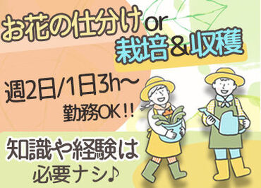 株式会社TMC 未経験の方大歓迎★
難しい作業はありません◎モクモクと作業するのが好きな方にオススメ!!