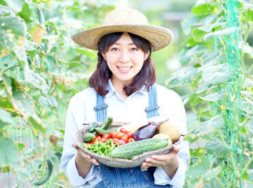 特別なスキルや経験は不要◎
未経験も大歓迎!
※画像はイメージ