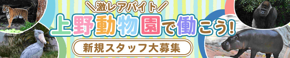 ラージピクチャー
