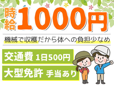 マイナビバイト 野菜の収穫 有限会社石川農園のアルバイト バイト求人情報 田沢湖線 小岩井駅 車9分 滝沢市 週3日以上 1日8時間以上 梱包 検品 仕分 商品管理 仕事探しなら マイナビバイト岩手版 J0041827438