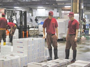 株式会社マツスイ 出荷前の魚の箱詰めや軽量をお任せ！
新鮮なお魚をお客様にお届けする、アルバイトです。