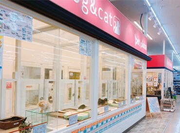 ▼当店は…95%が正社員◎
未経験スタートも多いので、
『不安…』という初心者の気持ちも
汲み取って相談にものってくれる♪