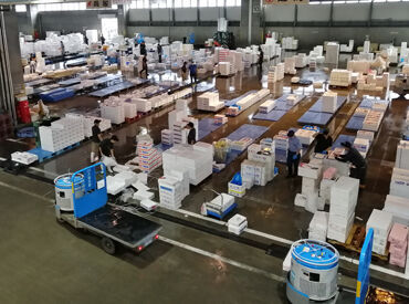 朝の中央卸売市場はこんな感じ！
ココでしか乗れないレアなモートラも♪
最初は指示に従いながら魚箱を仕分けしていただきます◎