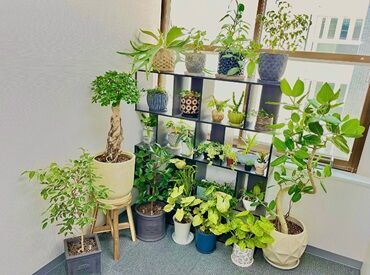 イメージ写真