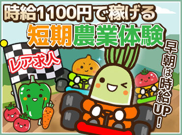 有限会社石川農園 「期間限定の短期…／長期で安定…」など、働き方はご相談ください♪
※画像はイメージ