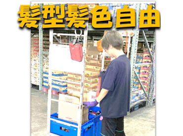梅田運輸倉庫株式会社　戸田営業所 未経験OK！倉庫内でのコツコツ作業♪
短時間で無理なく/フルタイムでetc.
希望に合わせて働けます★
車通勤OK＆無料駐車場あり！