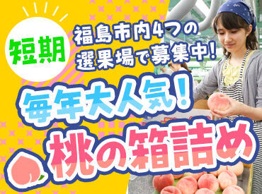 お仕事はとてもシンプル！
桃を箱に入れて運ぶだけ★
未経験の方も丁寧にお教えしますので、
ご安心ください♪