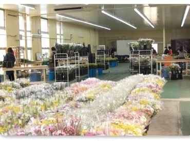 マイナビバイト 横浜 花屋 バイトのアルバイト バイト 求人 仕事