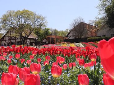 おかやま フォレストパーク ドイツの森 社員優待で食事割引や、全国の施設入園無料などあり♪
夏には花火大会も観れますよ！
資格や経験不問でスタートできます◎