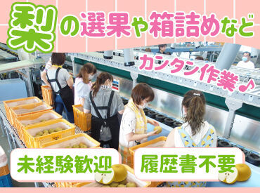 あぐりフルーツ館（夢みなみ農業協同組合） 毎年超大人気★期間限定バイト！
梨の選果や箱詰めなどの
カンタン作業をお願いします！