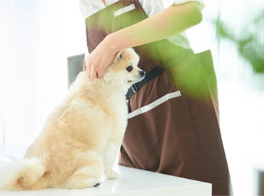 マイナビバイト 動物 仕事 資格 なしのアルバイト バイト 求人 仕事 マイナビバイト 動物 仕事 資格 なしのアルバイト バイト 求人 仕事