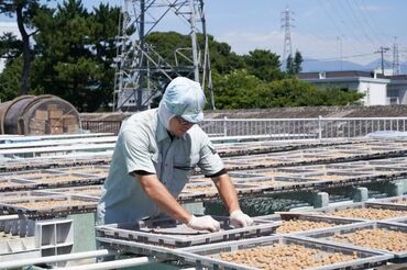 神尾食品工業株式会社 ≪夏休み限定の短期バイト≫
高校生もお待ちしております♪
夏休みの空き時間に一緒に働きませんか？？