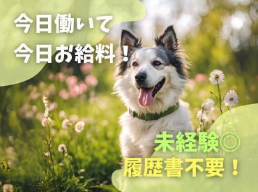 テイケイワークス西日本株式会社 福岡支店【005】 年齢不問！日払いOK★未経験でもカンタンなお仕事！