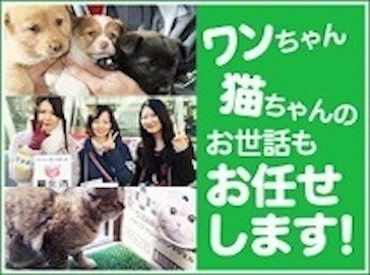 特定非営利活動法人いぬねこプロジェクト　清瀬支部 いぬとねこが好きな方大募集♪