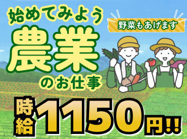 ラッキー“7”のつく
7日/17日/27日 が給料日です☆
<月3回に分けて給与のお支払いが可能>