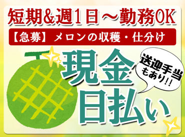 <人気の農作業・軽作業募集スタート>
今回の案件は条件が合わなくても
他にもお仕事があります♪
まずは登録だけしちゃおう!