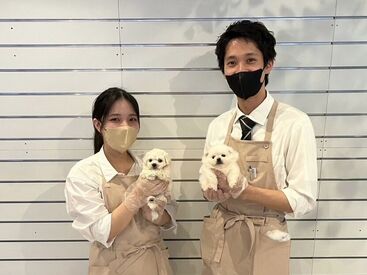 ペットショップWAN　吉祥寺店 可愛いワンちゃんやネコちゃんのお世話などをして頂くお仕事♪
動物好きの方、人とお話しするのが好きな方にお勧め！