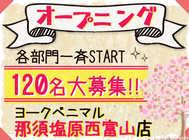 マイナビバイト 西那須野 ヨークベニマル オープニングのアルバイト バイト 求人 仕事 マイナビバイト 西那須野 ヨークベニマル オープニングのアルバイト バイト 求人 仕事
