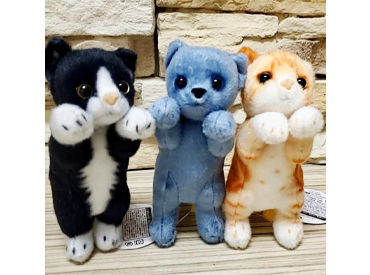 meow meow 雑貨屋さんで働くのが夢だった！そんな方大歓迎です★
かわいいに囲まれて楽しく働きましょう♪