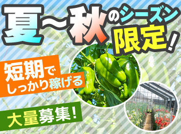ユイテックス株式会社 ＜11月までの短期の大量募集◎ ＞
シンプルで覚えやすい簡単ワーク！