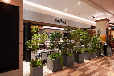 美味しくて美しいスイーツのお店★
カフェ&食に興味がある方なら大歓迎♪
