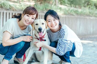 ペットと泊まれる貸別荘コトマル。 研修は先輩方と一緒に行いますので、
未経験でも安心です♪
1棟ごとの報酬制なので、
早く終われば時間内でもお仕事終了です◎