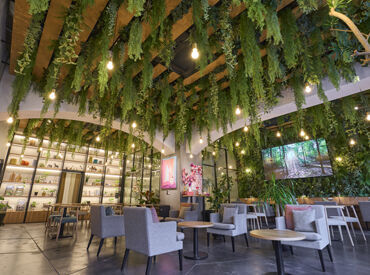 AOU銀座の森 ＼森のカフェラウンジ／
静かな空間で、
植物に癒されながら働ける◎
接客の経験者さん歓迎！
※イメージ画像