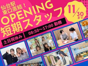アルティウスリンク株式会社/1250602930 オープニング大募集★☆
＜＜11月末迄の短期バイト＞＞
未経験でも高時給1350円スタート♪