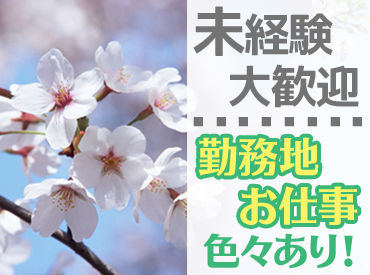 マイナビバイト 夜勤工事現場の警備 有限会社ケーウィンズの マイナビバイト 夜勤工事現場の警備 有限会社ケーウィンズの
