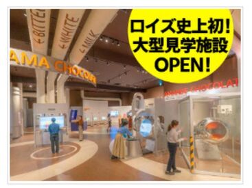 ロイズカカオ＆チョコレートタウン 夏休みの短期募集♪