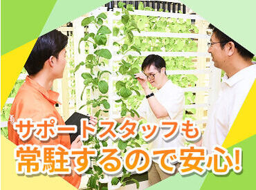 チームを組んでお仕事をします。分からないことはいつでも相談できる環境です♪