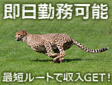 テイケイネクスト株式会社　川崎支店/TN107S0303MB10 受け取り方法選べる◎
『銀行振込』or『現金手渡し』
急な出費にも安心★