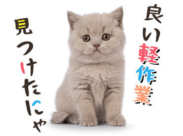 ・制服貸与あり
・髪染めOK(染髪)
・指輪、ネックレスOK
若手~中高年まで
幅広い年代の男女活躍中!