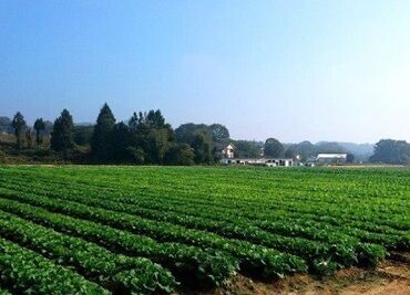 イオンアグリ創造　広島安芸高田農場 安定のイオングループ◎
農場でのお仕事をはじめてみませんか？
軽作業なので、難しいことは一切なし！
未経験の方でも安心★