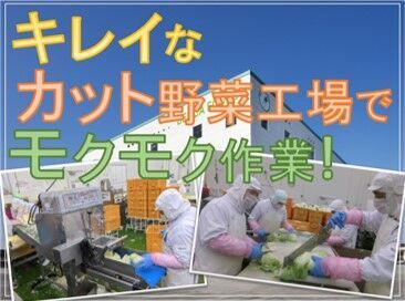 デリカフーズ株式会社　九州事業所　※勤務地：宗像市 アナタの働きやすさを重視!
週2日～ライフスタイルに合わせて働けます★